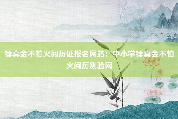 锤真金不怕火阅历证报名网站：中小学锤真金不怕火阅历测验网